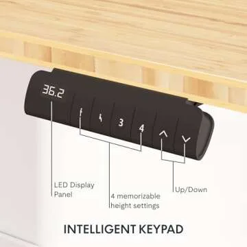 FLEXISPOT E6 Bamboo 72x30 Electric Standing Desk