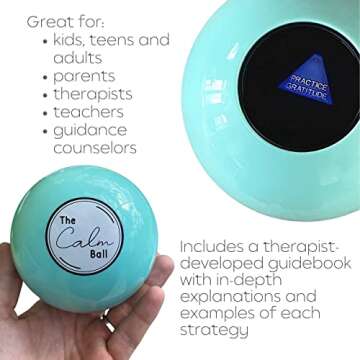 The Calm Ball: Innovative Stress Relief & Coping Skills Toy