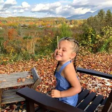 Clover Honey Sticks - Premium Pure Honey Packets for Tea