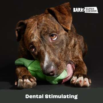 Barkbox Super Chewer Tough Dog Chew Toys for Aggressive Chewers, Dental Stimulating (Iguana - Large)