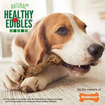 Nylabone Healthy Edibles WILD Natural Long-Lasting Bison Flavor Bone Chew Treats for Dogs, Medium (2 Count)