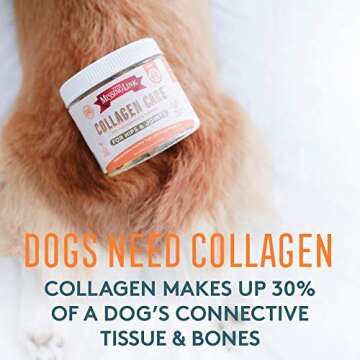 The Missing Link Collagen Care Hip & Joint Soft Chews 60ct - Daily Mobility & Anti-Inflammatory Supp...