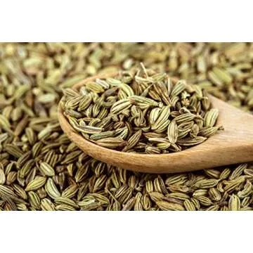 Fennel Seed 1LB (16Oz) 100% CERTIFIED Organic Egyptian Fennel Seed (Foeniculum vulgare), in 1 lbs. B...
