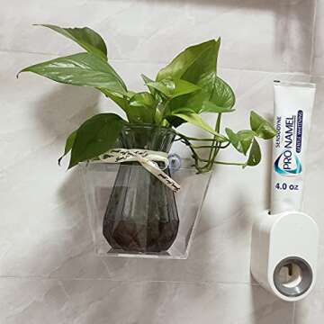 NIUXX Acrylic Window Planter Boxes, Creative Flower Pot Holder Plant Tray Shelf with Suction Stickers, Great Outdoor Indoor Decorative Gift for Home (Small Size with 1 Compartment)