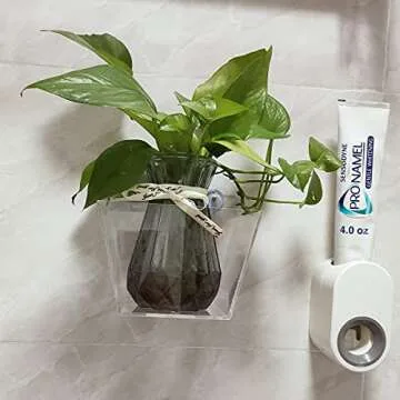 NIUXX Acrylic Window Planter Boxes, Creative Flower Pot Holder Plant Tray Shelf with Suction Stickers, Great Outdoor Indoor Decorative Gift for Home (Small Size with 1 Compartment)