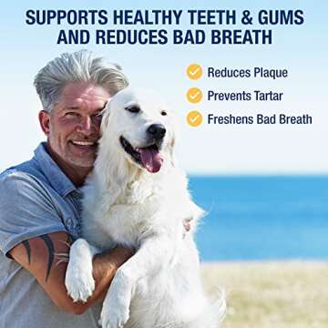ProDen PlaqueOff Powder - Natural Dental Care for Pets