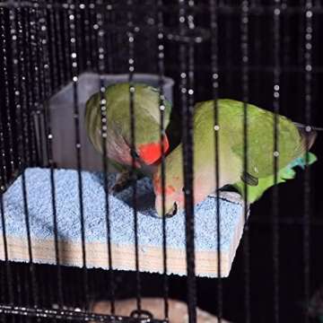 Deloky Bird Swing Toys for Small Birds - 8 Packs