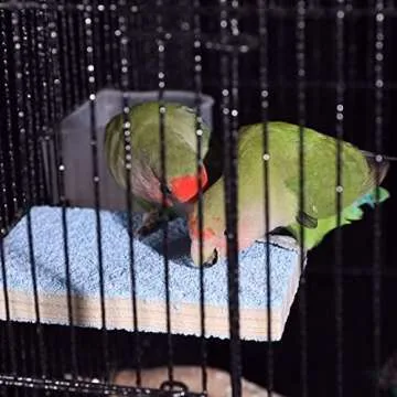 Deloky Bird Swing Toys for Small Birds - 8 Packs