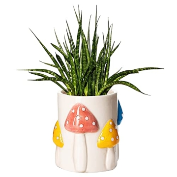 GUTE Colorful Mushrooms Planters Cute Rainbow Planters