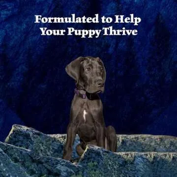 Blue Buffalo Wilderness Natural High-Protein & Grain-Free Wet Food for Puppies, Turkey & Chicken, 12.5-oz. Cans, 12 Count