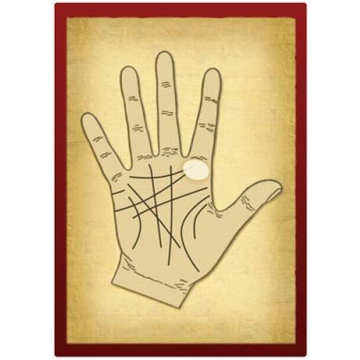 Engaging Palmistry Learning Cards for Beginners and Beyond