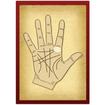 Engaging Palmistry Learning Cards for Beginners and Beyond