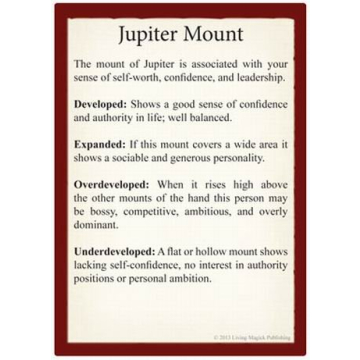 Engaging Palmistry Learning Cards for Beginners and Beyond