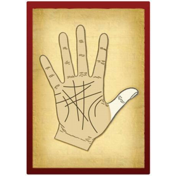 Engaging Palmistry Learning Cards for Beginners and Beyond