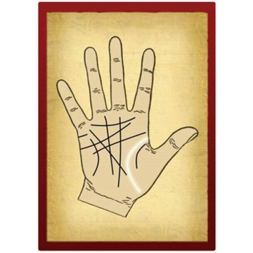 Engaging Palmistry Learning Cards for Beginners and Beyond