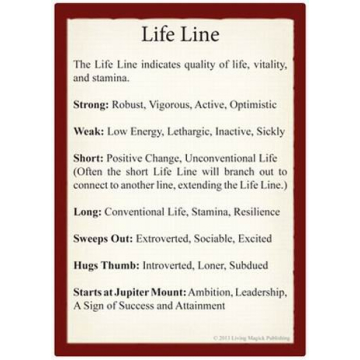 Engaging Palmistry Learning Cards for Beginners and Beyond