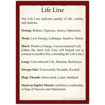 Engaging Palmistry Learning Cards for Beginners and Beyond