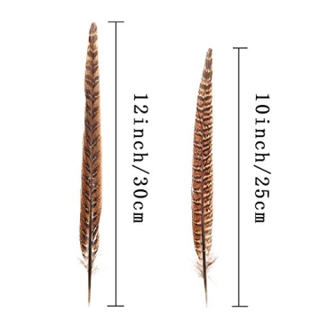 AWAYTR 20 Natural Pheasant Feathers - Craft Decor Essentials