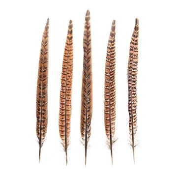 AWAYTR 20 Natural Pheasant Feathers - Craft Decor Essentials