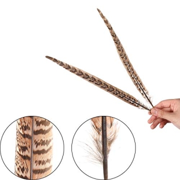 AWAYTR 20 Natural Pheasant Feathers - Craft Decor Essentials