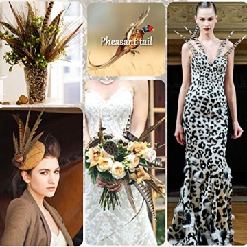 AWAYTR 20 Natural Pheasant Feathers - Craft Decor Essentials