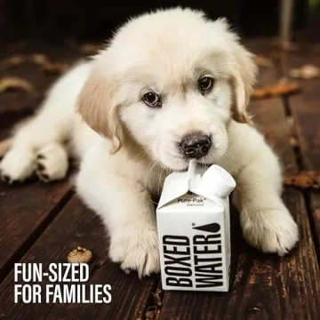 Boxed Water 8.5 oz. Mini Pack - Eco-Friendly Hydration