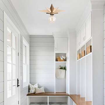VILUXY Brass Star Ceiling Light Fixture for Home