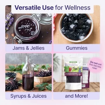 Organic Dried Elderberries - Immune Support Superfood 1lb