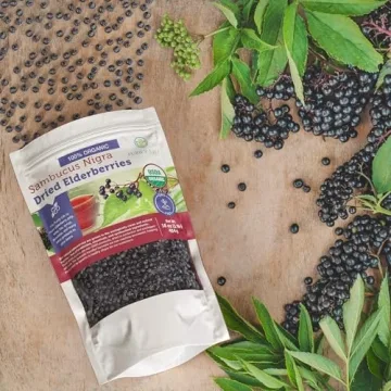 Organic Dried Elderberries - Immune Support Superfood 1lb