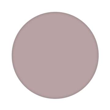 Dazzle Dry Mini Kit 4 Step System - Broadway Beige, a cool and medium greige with purple undertones....