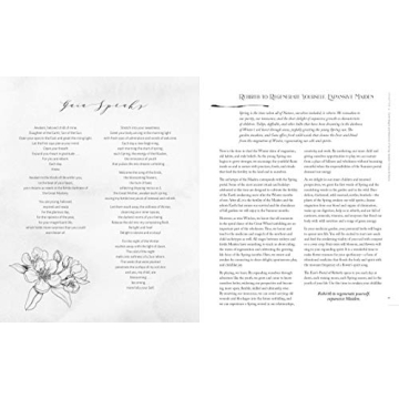 The Witch's Herbal Apothecary for Healing Magic