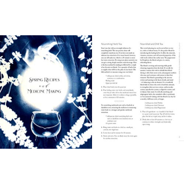 The Witch's Herbal Apothecary for Healing Magic