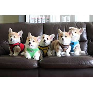 PUPPIA Soft Harness B Vest for Small Dogs Comfort