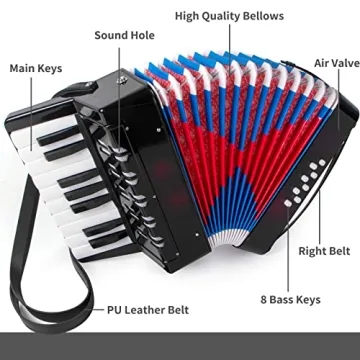 Kids 17 Keys Piano Accordion for Beginners | Musical Fun