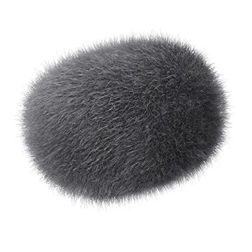 Sony ECM-G1 Vlogger Shotgun Microphone for Crystal Clear Audio