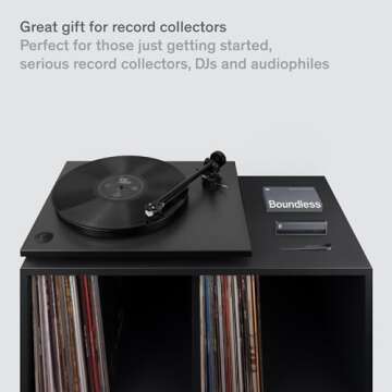 Boundless Audio Record Cleaner Kit - 2-Piece Vinyl Cleaning Kit Includes Record Brush & Stylus Cleaner - Carbon Fiber Anti-Static Vinyl & Stylus Brushes