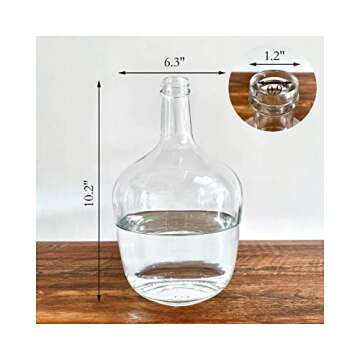 BUICCE Small Clear Glass Jug Vase Round Flower Decorative Bubble Vase for Pampas Grass Farmhouse Dec...