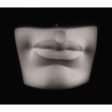 Caproni Collection Plaster Cast Sculpture of David's Mouth Full-Size Detail (Item #148)