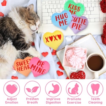 Interactive Valentine’s Day Catnip Toy Set for Cats