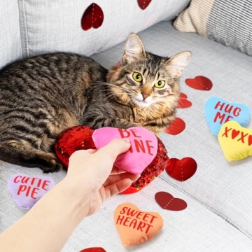 Interactive Valentine’s Day Catnip Toy Set for Cats