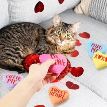 Interactive Valentine’s Day Catnip Toy Set for Cats