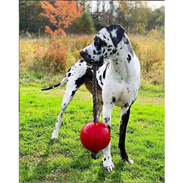 Jolly Pets Romp-n-Roll: Durable Large Dog Toy for Active Play | 8 inches, Red