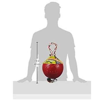 Durable Large Dog Toy - Jolly Pets Romp-n-Roll