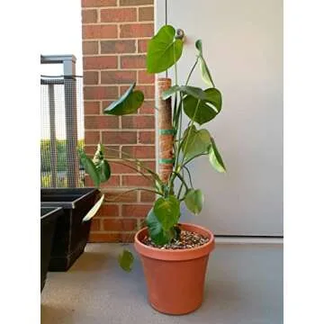 LE TAUCI Plant Ties - Garden Tape, Reusable Plant Support, 50 ft Green