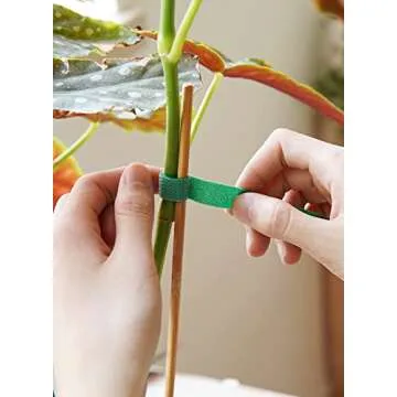 LE TAUCI Plant Ties: Eco-Friendly Garden Support Tape