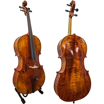 Paititi 4-String Cello-Acoustic for All Levels