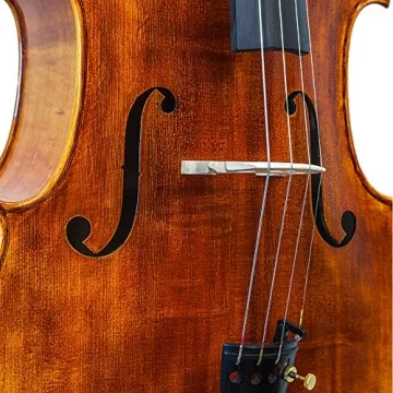 Paititi 4-String Cello-Acoustic for All Levels