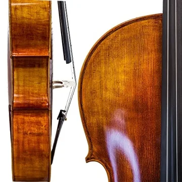 Paititi 4-String Cello-Acoustic for All Levels