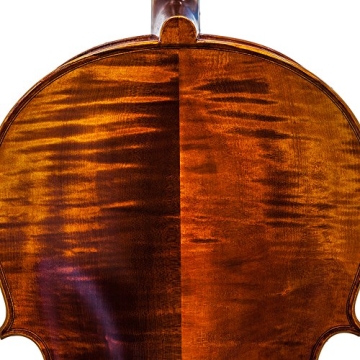 Paititi 4-String Cello-Acoustic for All Levels