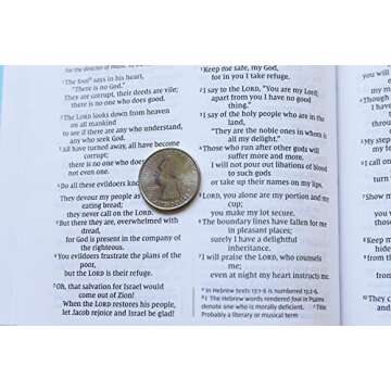 NIV, Value Thinline Bible, Leathersoft, Teal, Comfort Print